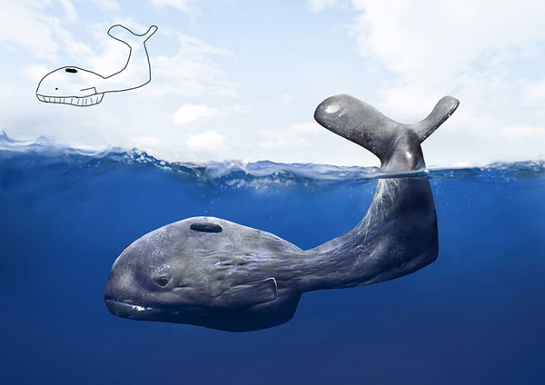 Telmo Pieper Whale